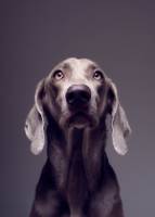 Florent SERFATI - SHOT BY FLOW